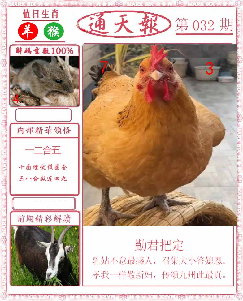 032期正版通天报[图]