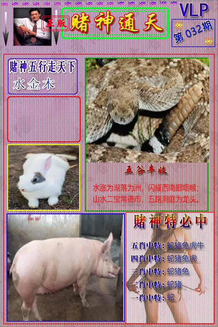 032期赌神通天报[图]